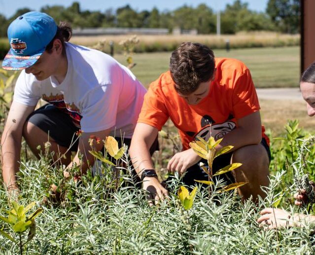 Western Michigan University25