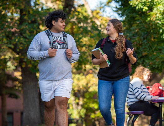 Valley City State University25