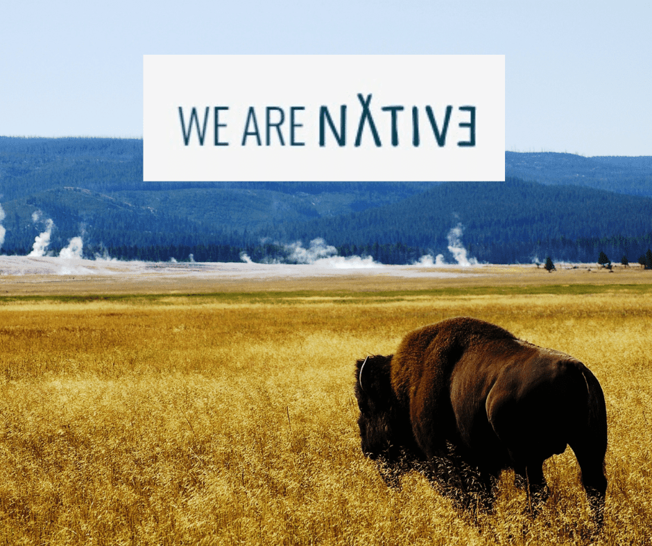 Native web